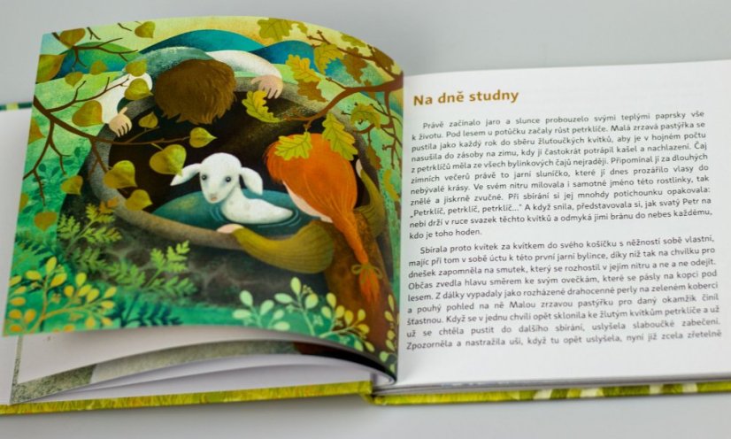 Příběhy pastýřky - kniha